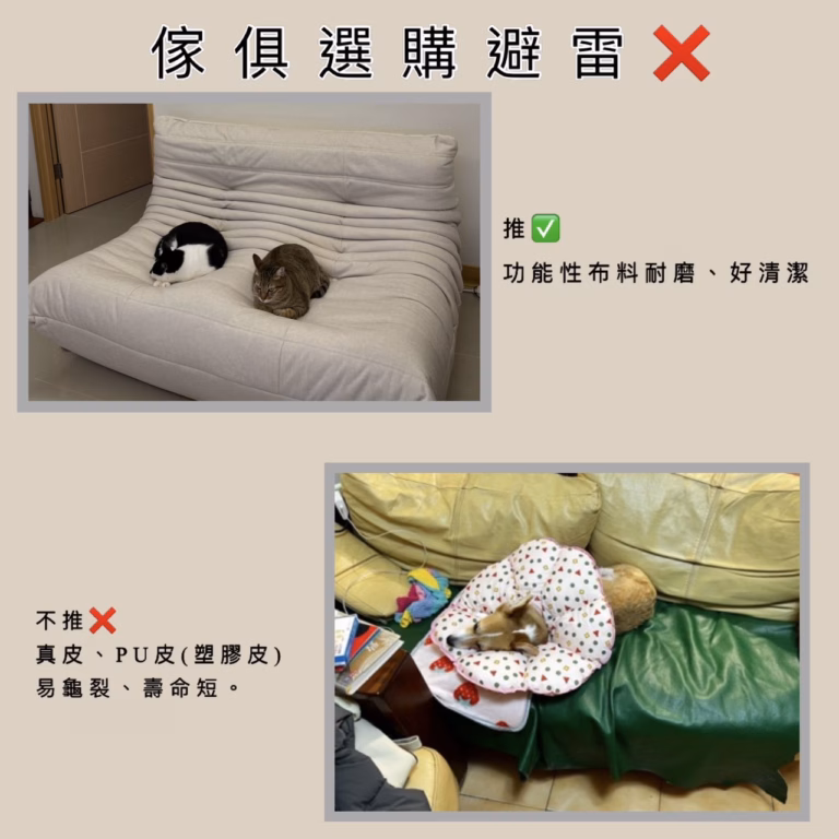 貓抓布與塑膠皮質感示意