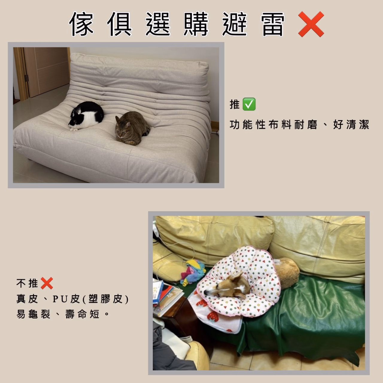 貓抓布與塑膠皮質感示意